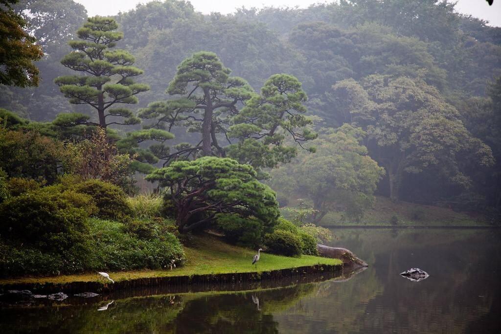 Tora Hotel Tokyo-Rikugienn 寅ホテル 六義園 C Екстериор снимка